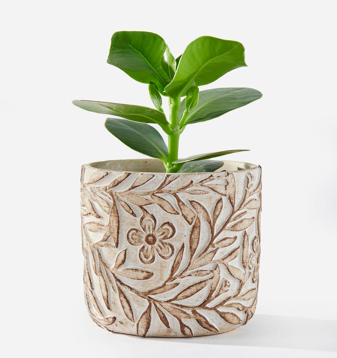 Beige Cement Planter