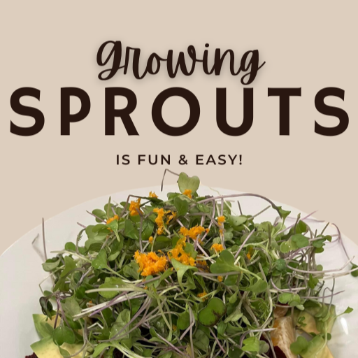 Seed Sprouting Guide-Digital Download
