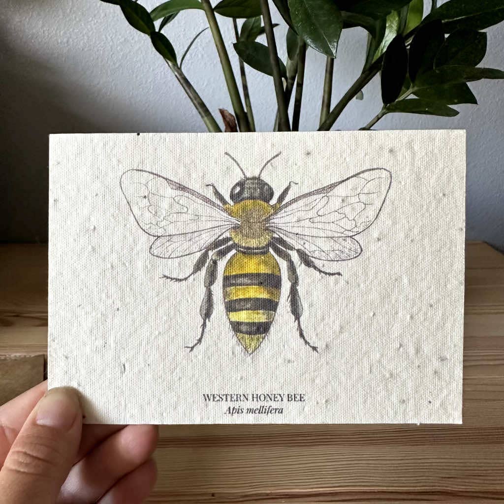 Eco-Friendly Honey Bee Seed Paper Greeting Card – Plantable & Sustainable Gift