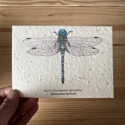 Eco-Friendly Dragonfly Paper Greeting Card – Plantable & Sustainable Gift