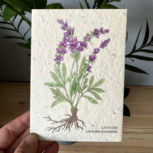 Eco-Friendly Lavender Seed Paper Greeting Card – Plantable & Sustainable Gift