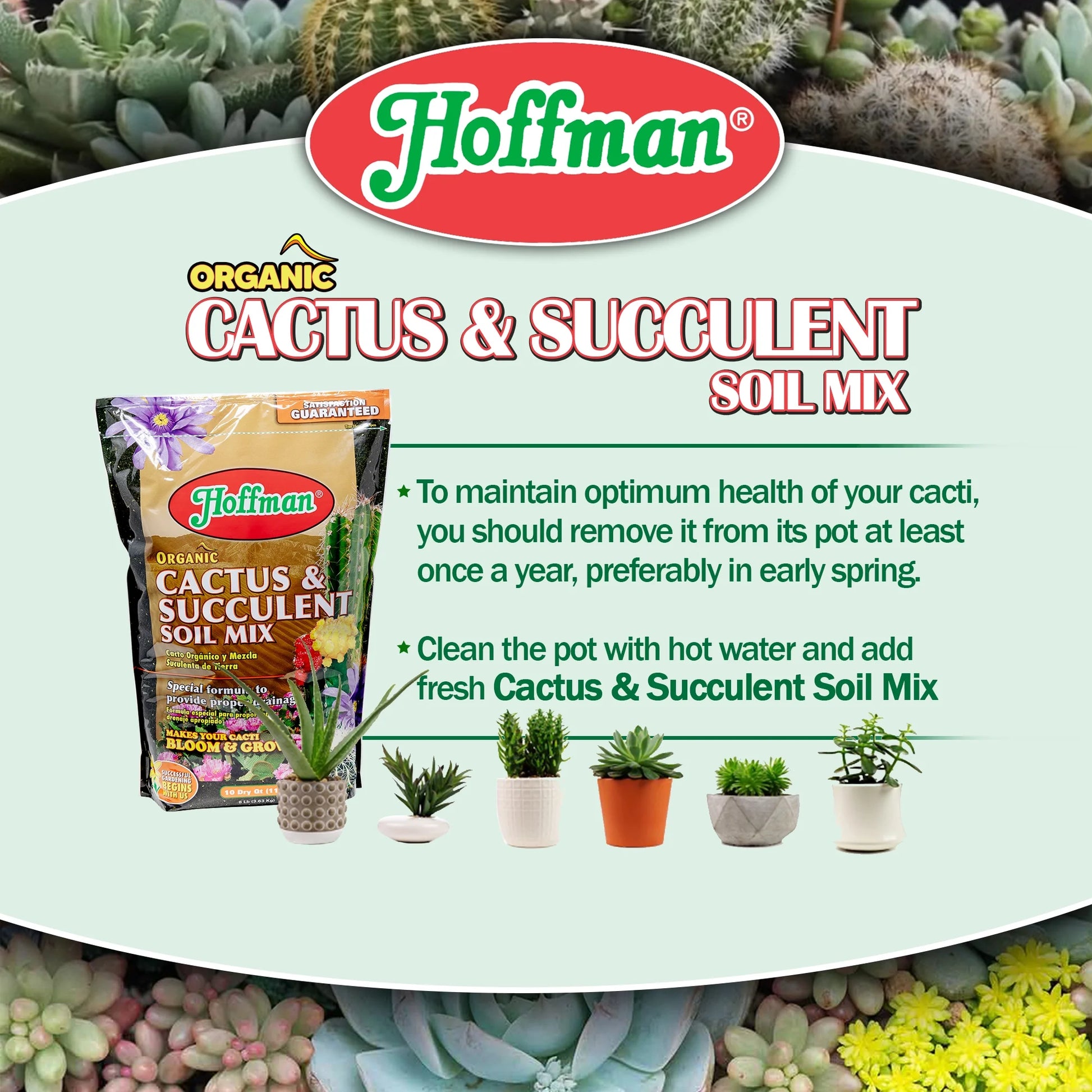 Organic Cactus and Succulent Soil Mix, 10-Quart Bag (Pack of 1)