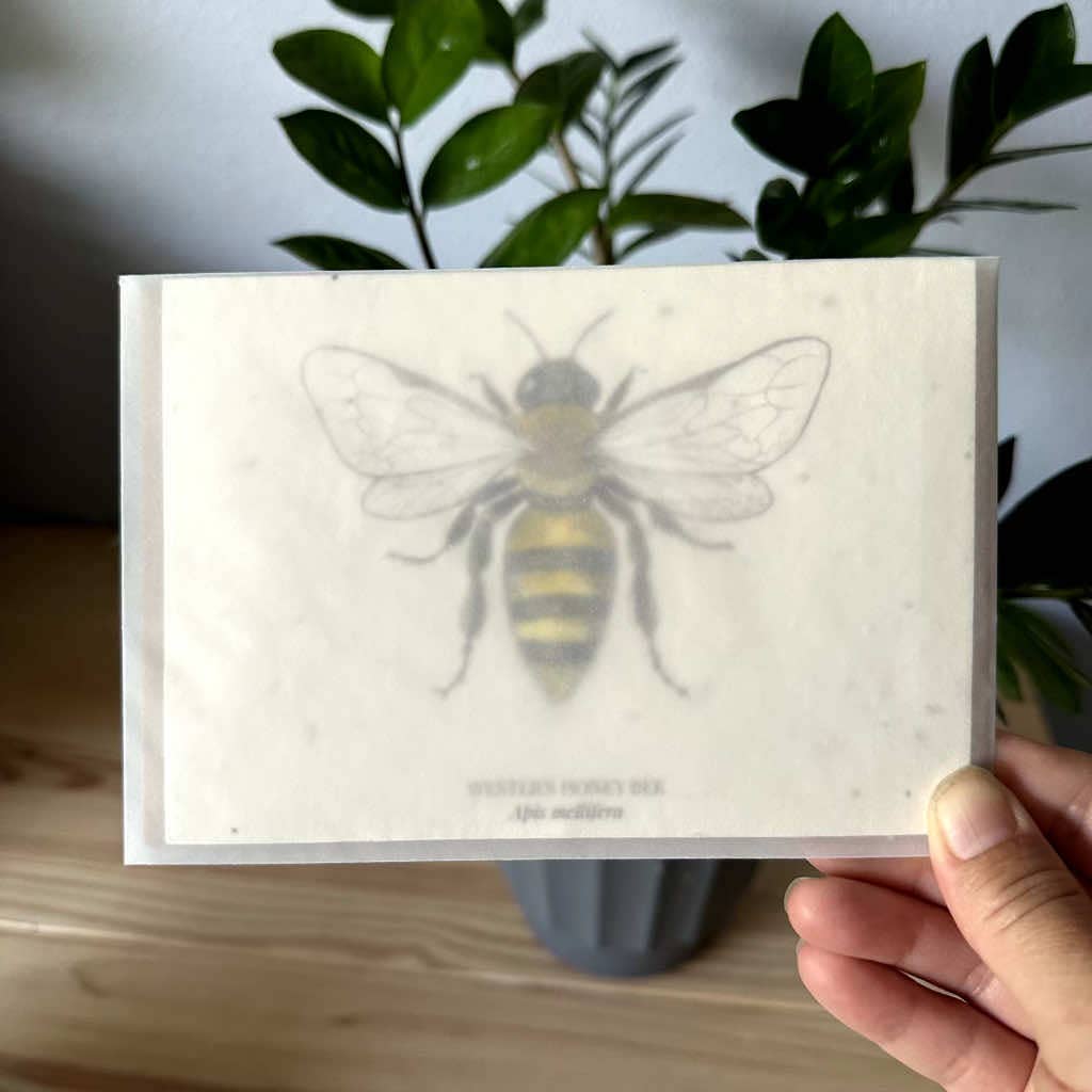 Eco-Friendly Honey Bee Seed Paper Greeting Card – Plantable & Sustainable Gift