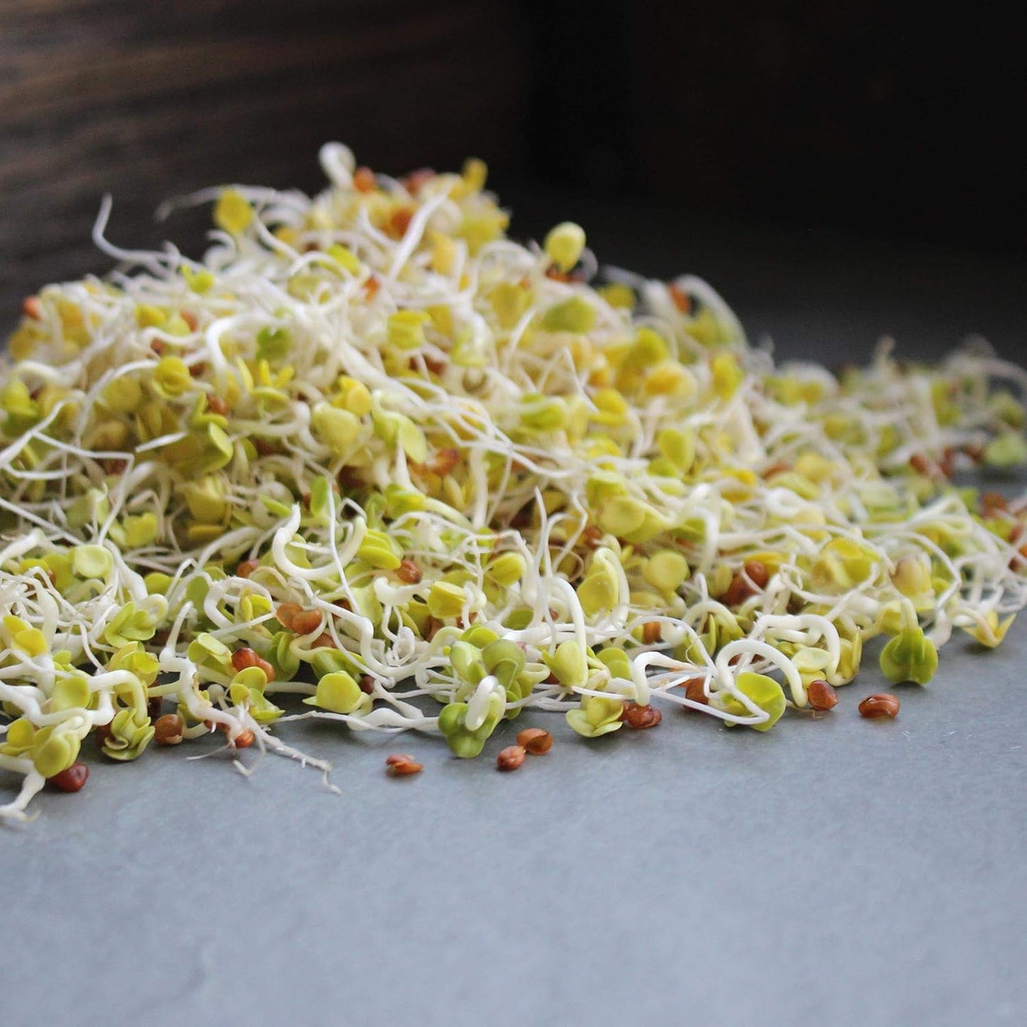 Radish Sprouts