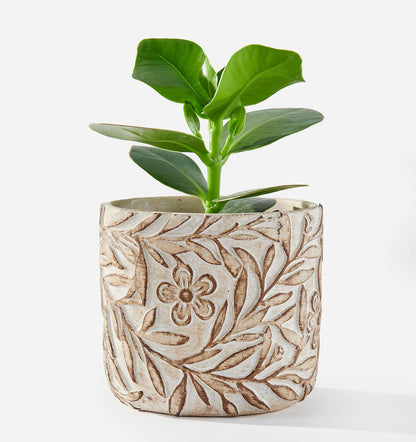 Beige Cement Planter