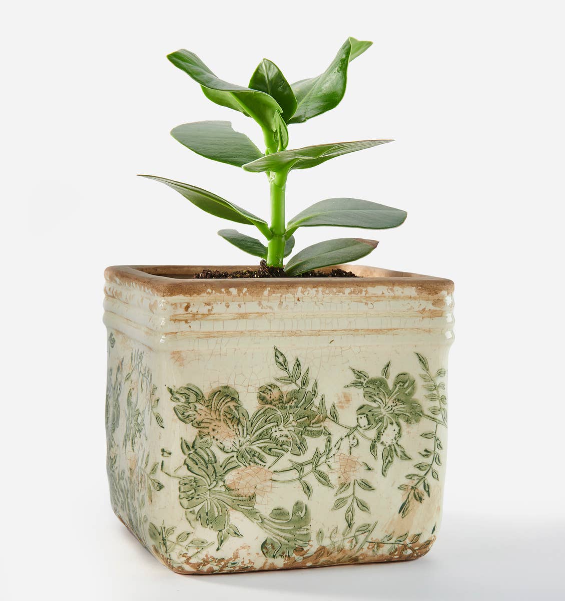 Vintage Stoneware Botanical Planter – Antiqued Square Pot for Timeless Decor