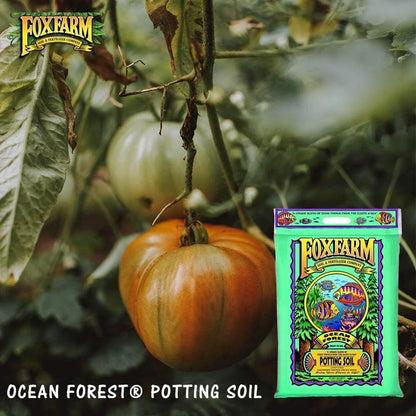 FoxFarm Ocean Forest Indoor Outdoor Garden Plant Potting Soil Mix, 12 Quart Bag