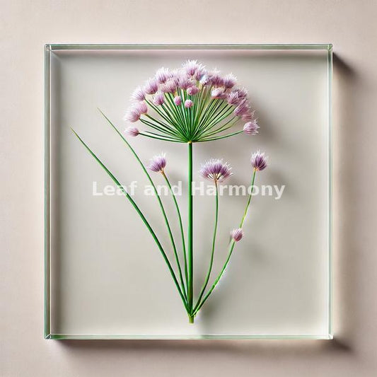 Pressed Chives-Modern Wall Art