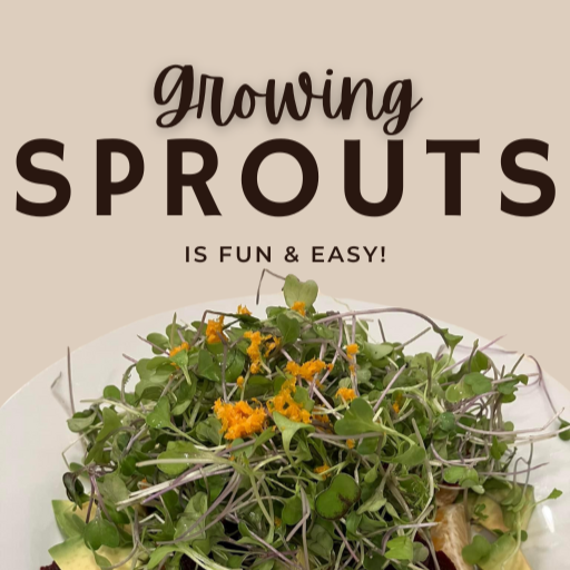 FREE Seed Sprouting Guide-Digital Download