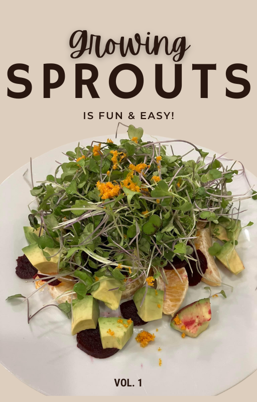 FREE Seed Sprouting Guide-Digital Download