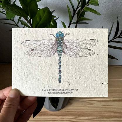 Eco-Friendly Dragonfly Paper Greeting Card – Plantable & Sustainable Gift