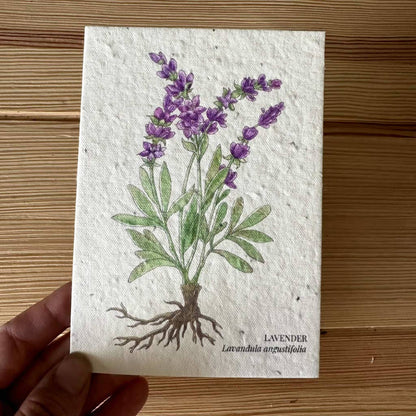 Eco-Friendly Lavender Seed Paper Greeting Card – Plantable & Sustainable Gift