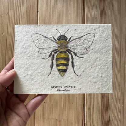 Eco-Friendly Honey Bee Seed Paper Greeting Card – Plantable & Sustainable Gift