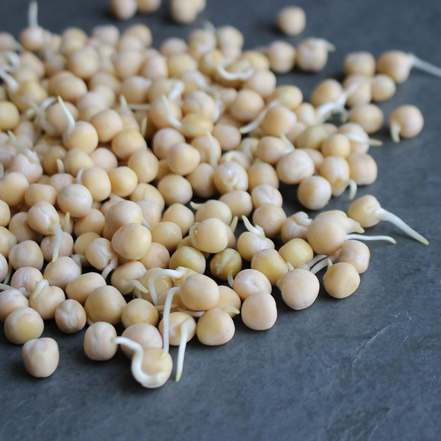 Organic Garden Yellow Pea Seeds - 1 Lb ~2,000 Seeds - Non-Gmo Heirloom Yellow Sprouting Pea Seeds for Microgreens Pea Shoots, Outdoor Gardening, Indoor Sprouts, Cover Crops, Organic Micro Greens Kit