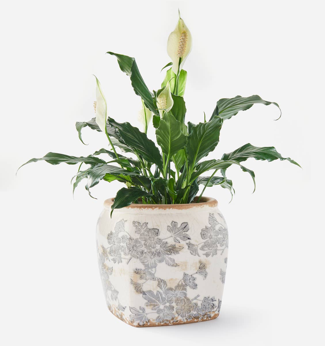 Antique Botanical Square Planter Pot – Timeless Vintage Charm for Any Space