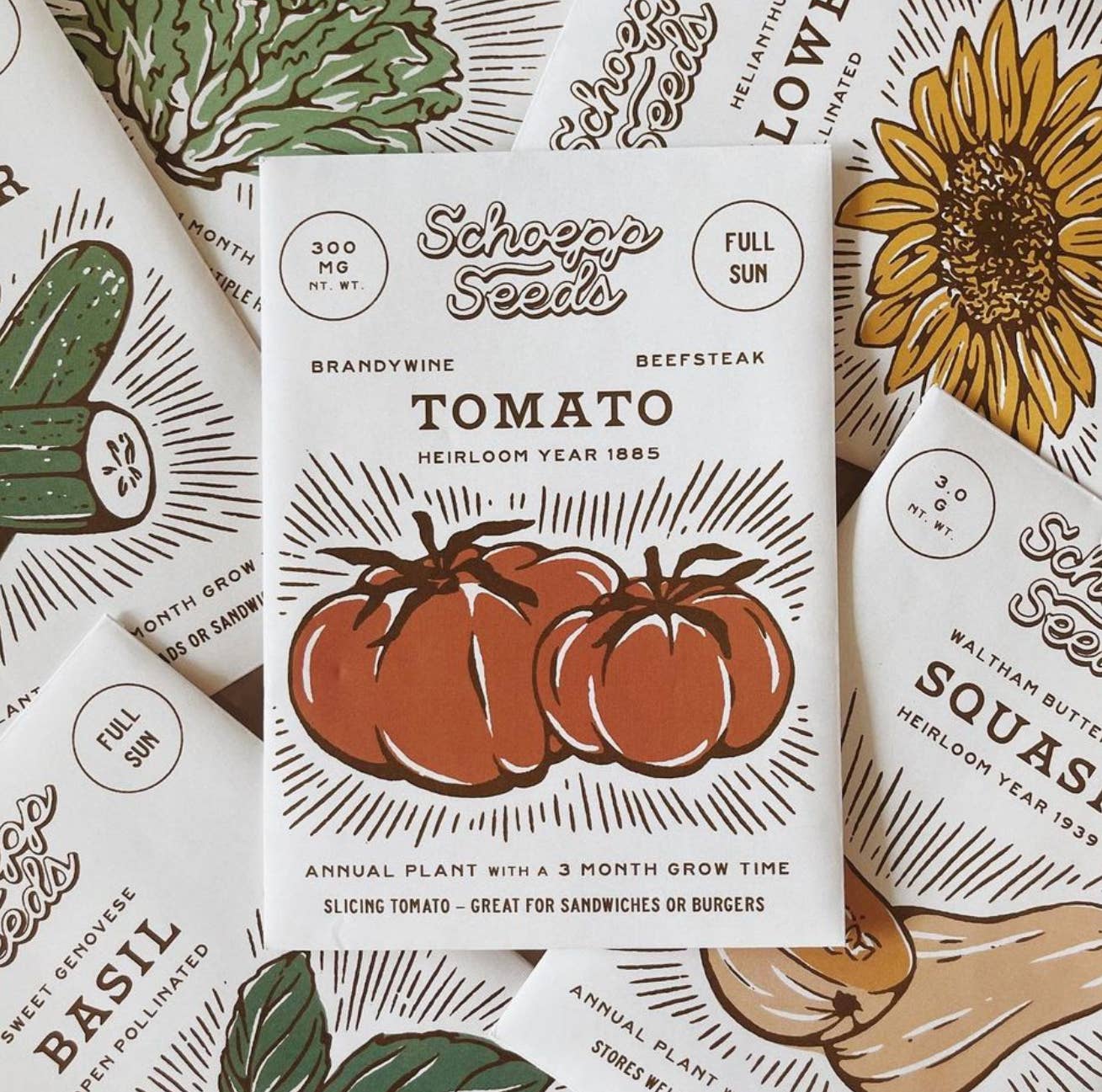 Schoepp Heirloom Seed Set – Beefsteak Tomato, Cucumber & Butternut Squash – Heirloom Open-Pollinated Garden Collection
