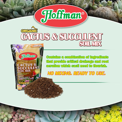 Organic Cactus and Succulent Soil Mix, 10-Quart Bag (Pack of 1)